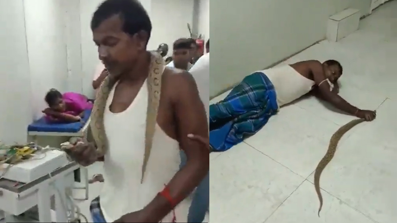 Viral news | కాటేసిన పామును మెడలో వేసుకుని ఆస్పత్రికి వృద్ధుడు.. Video