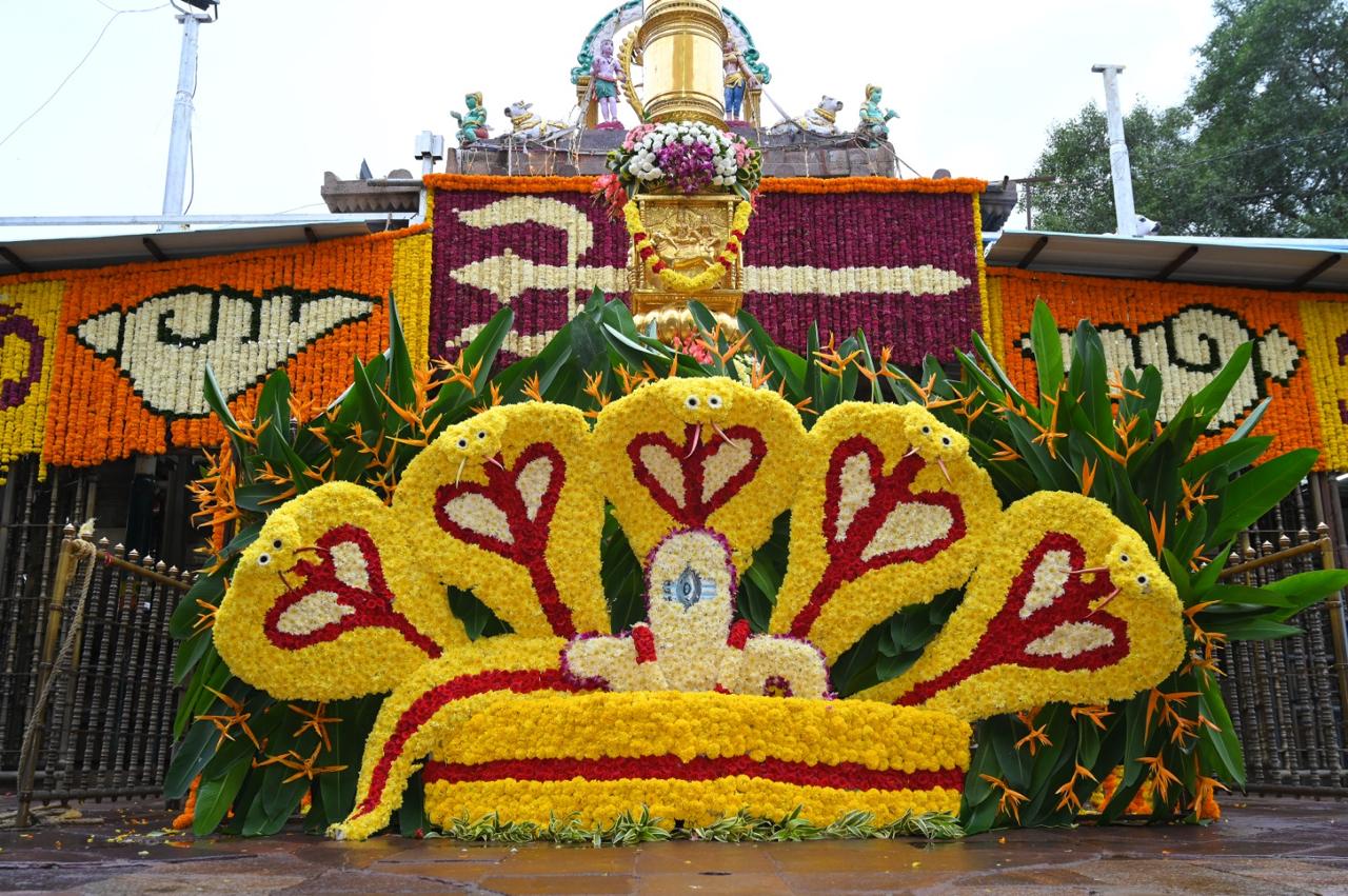 Srisailam (4)