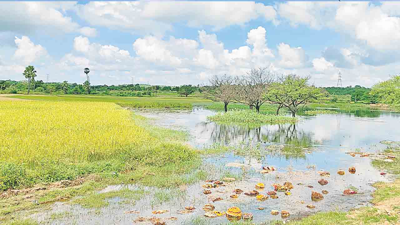 సగం చెరువు అన్యాక్రాంతం