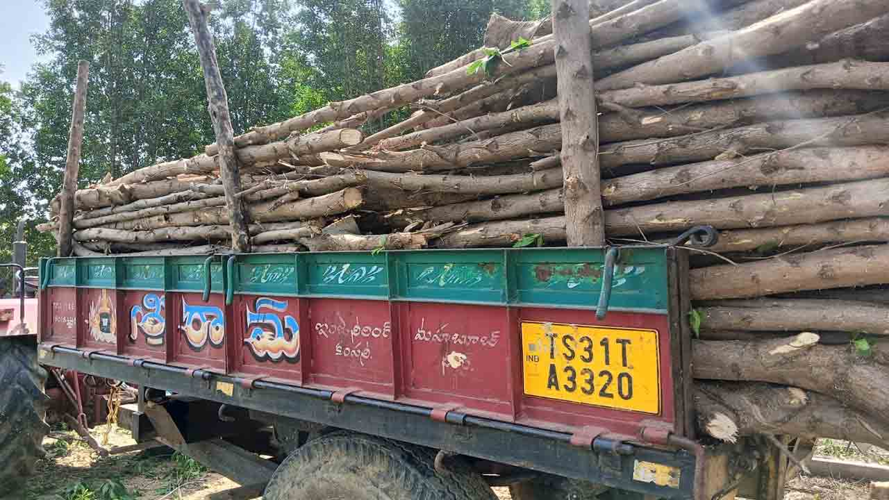 పల్లెప్రకృతి వనంలో చెట్లు నరికివేత