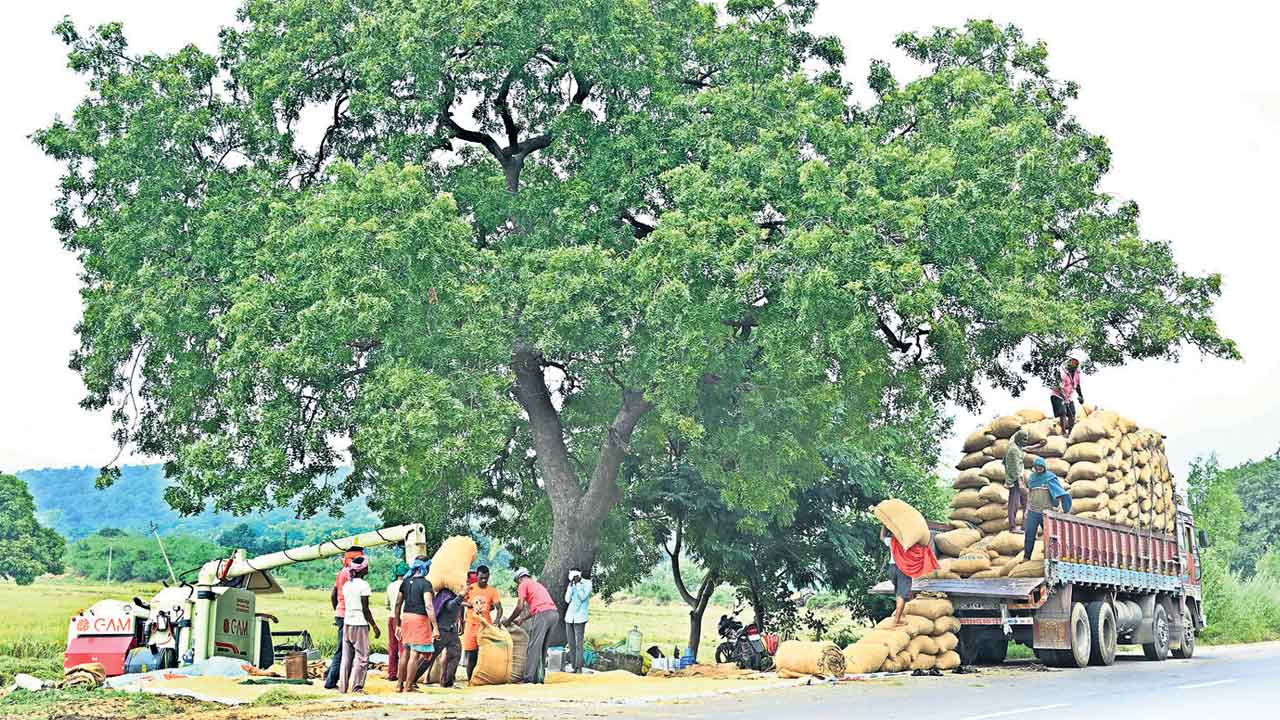 ప్రారంభమైనా కోతలు జాడలేని కేంద్రాలు