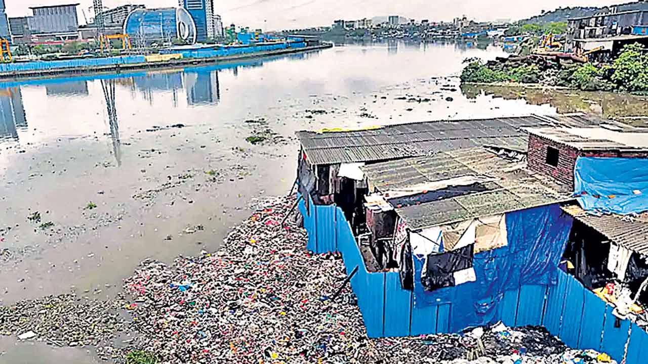 Vishwamitra River Project