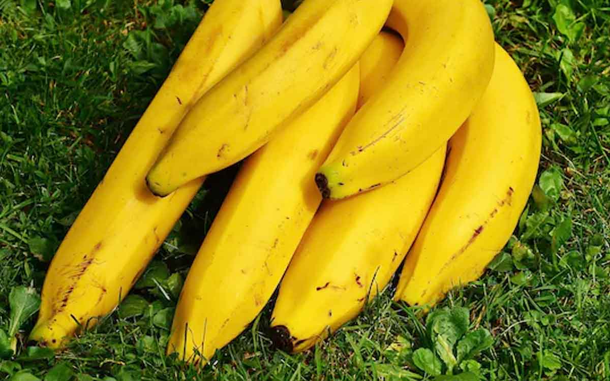 Bananas | అర‌టి పండ్ల‌ను తింటే ద‌గ్గు, జ‌లుబు వ‌స్తాయా..?