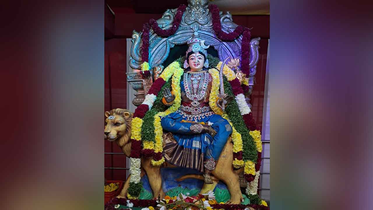 Basara Ammavaru | కాత్యాయని రూపంలో దర్శనమిచ్చిన బాసర అమ్మవారు