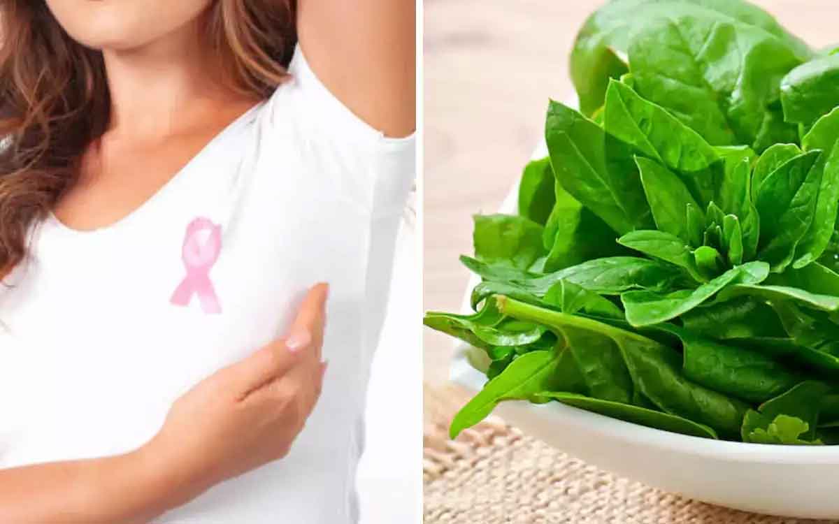 Breast Cancer Diet | బ్రెస్ట్ క్యాన్స‌ర్ రావొద్దంటే మ‌హిళ‌లు ఈ ఆహారాల‌ను రోజూ తినాలి..!