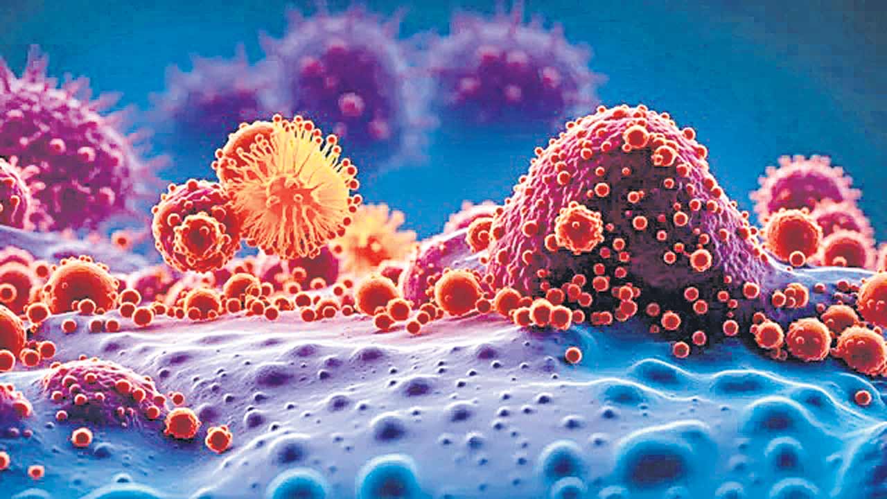 Cancer | కేవలం క్యాన్సర్‌ కణాలపై దాడి చేసే ఔషధం!