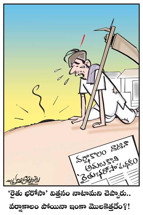 Cartoon