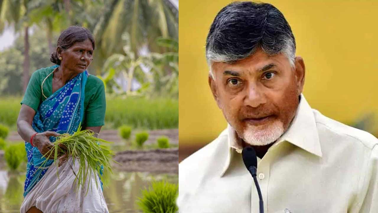 AP News | చంద్రబాబూ.. రైతుల ఉసురుపోసుకోవద్దు.. పంట ప్రీమియం చెల్లింపులపై వైసీపీ హితవు