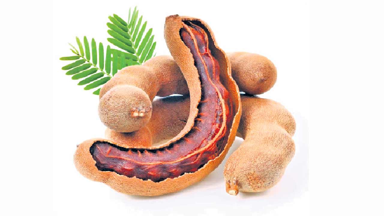 గింజలతోనూ గంపెడు లాభాలు!