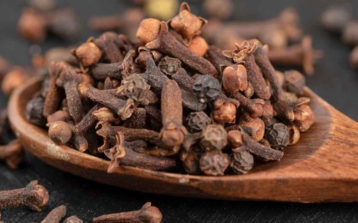 Cloves Benefits | భోజ‌నం చేశాక చిన్న ల‌వంగాన్ని న‌మ‌లండి.. ఎన్నో లాభాలు పొంద‌వ‌చ్చు..!