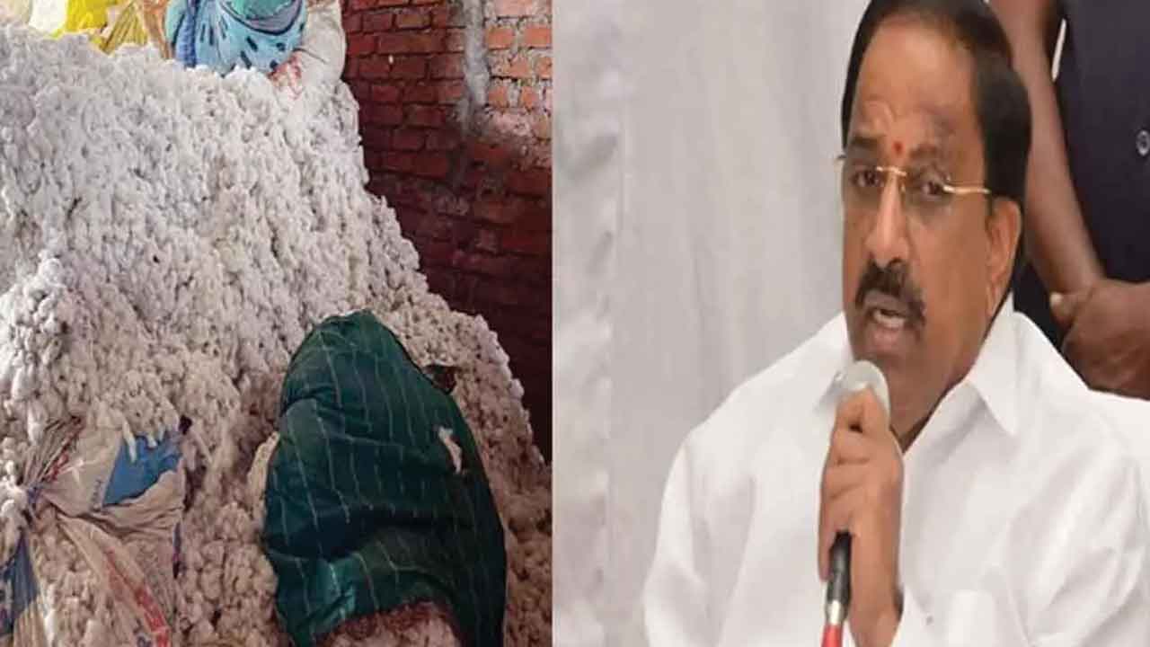 తేమ ఎక్కువున్నా పత్తి కొనుగోలు