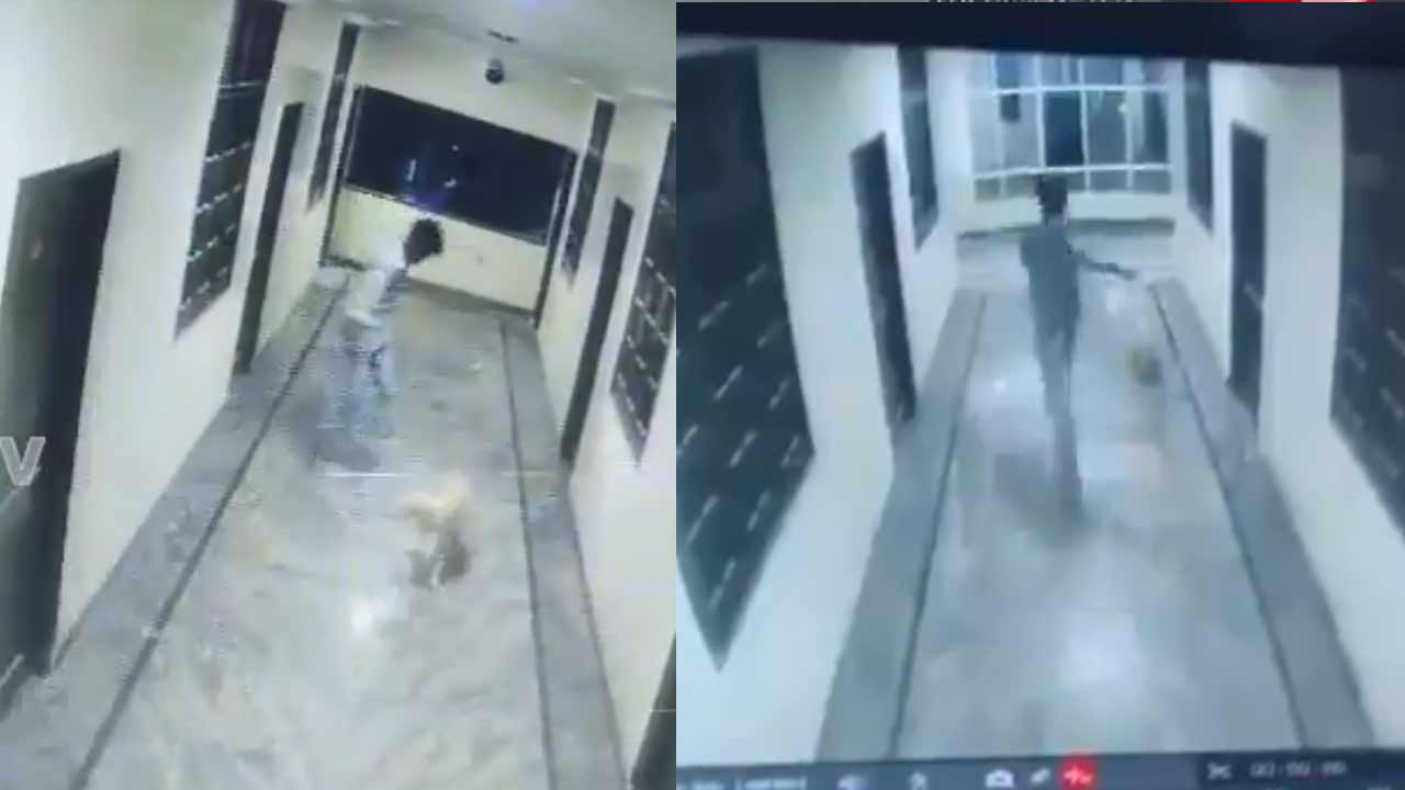 Hyderabad | కుక్క కాదు.. యువకుడే తరిమాడు.. హైదరాబాద్‌ ప్రమాదంలో కీలక మలుపు!