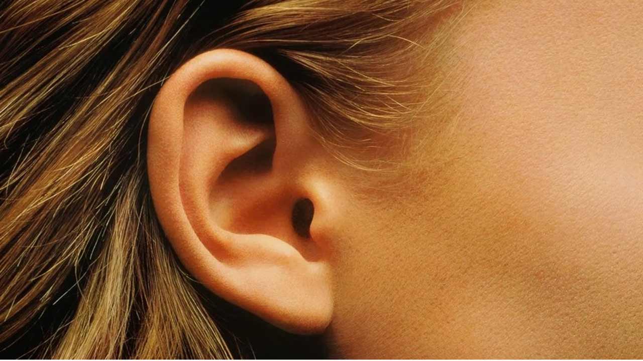 AP News | అత్తతో గొడవ.. చెవి ఊడి చేతిలోకి వచ్చేదాకా కొరికేసిన కోడలు!