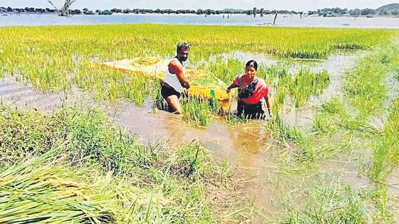 మారెడ్డి చెరువులోకి ఇష్టారాజ్యంగా నీటి విడుదల