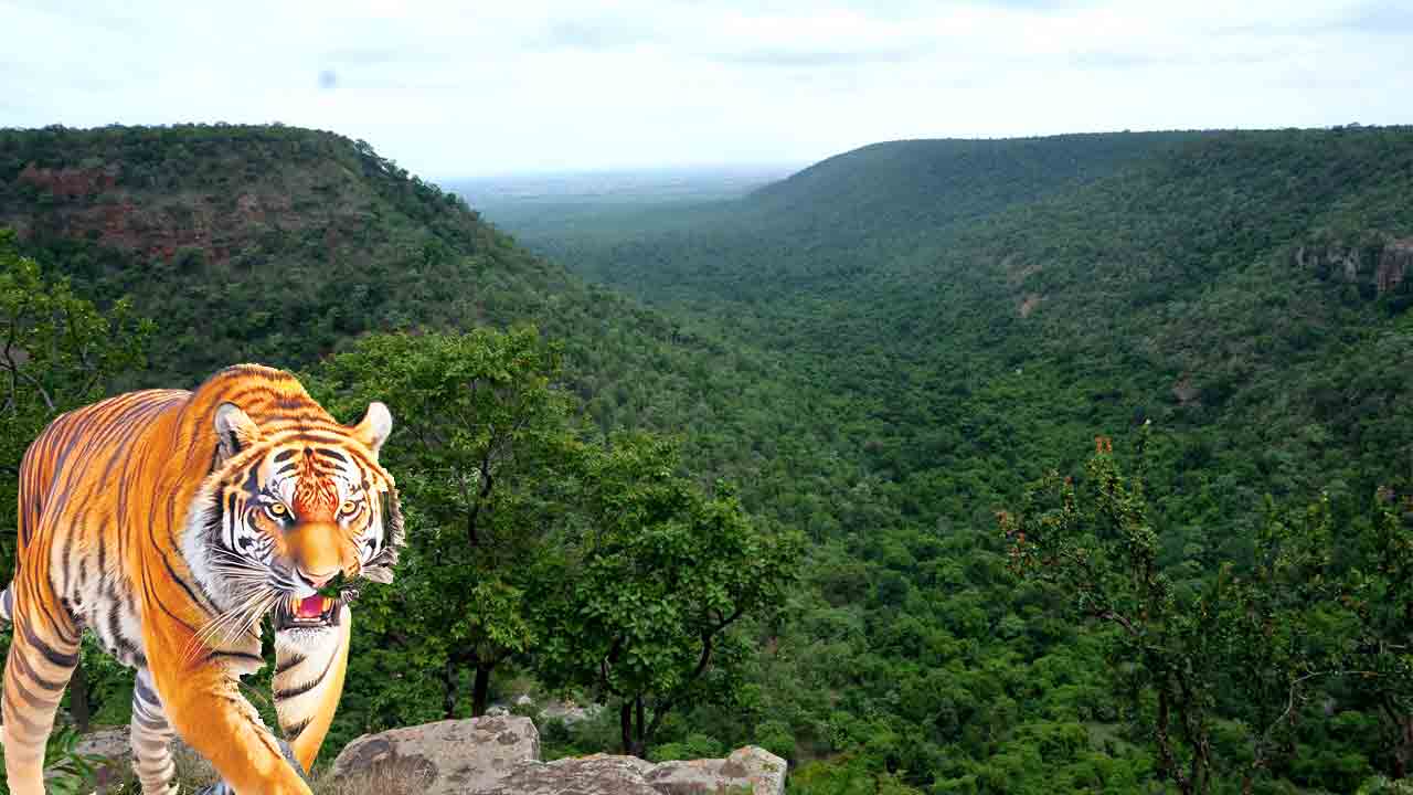 పర్యాటకులకు పరవశమే..