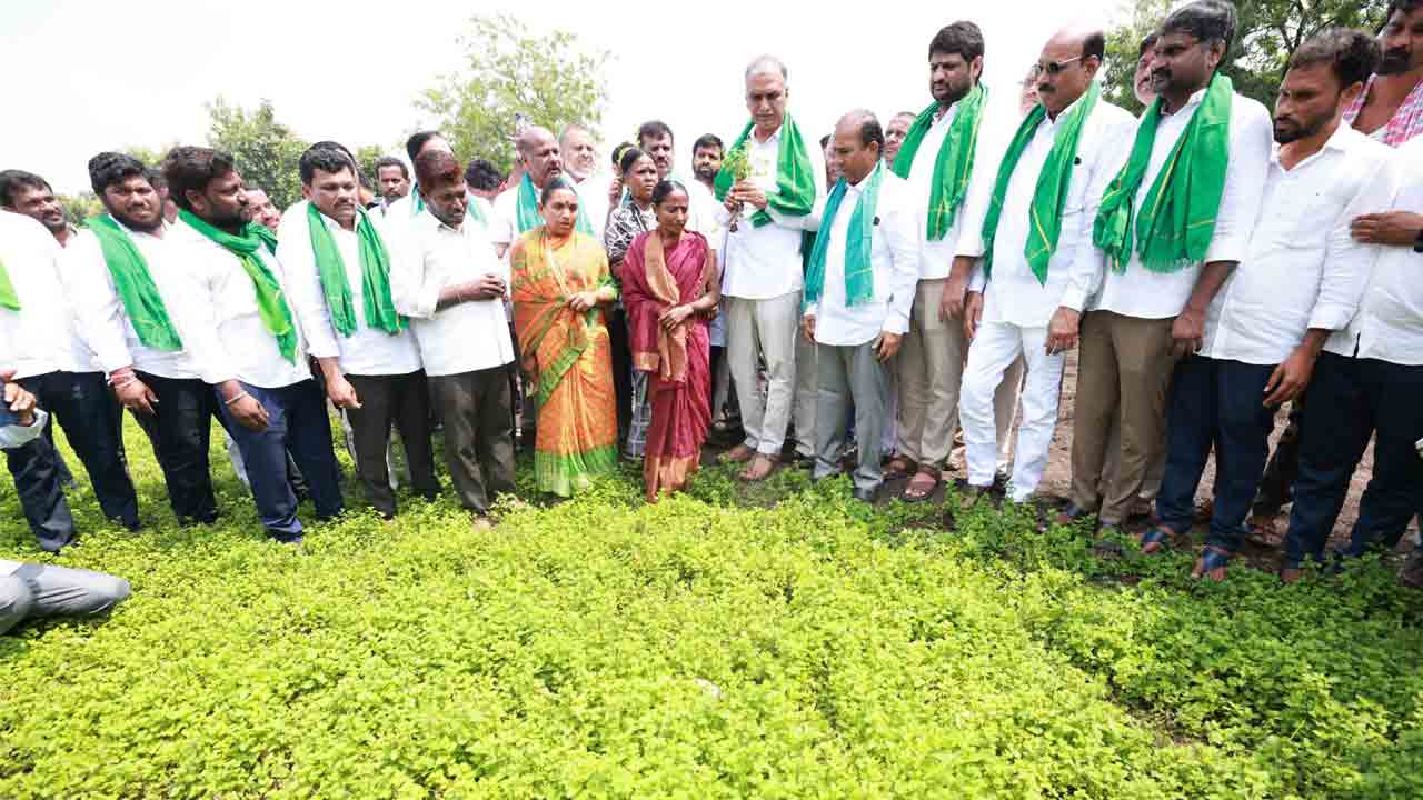 Harish Rao | పాల లాంటి మంజీరా నీళ్ల‌ల్లో విషపు చుక్కలు కలుపుతవా..? రేవంత్ రెడ్డిపై హ‌రీశ్ రావు ఫైర్