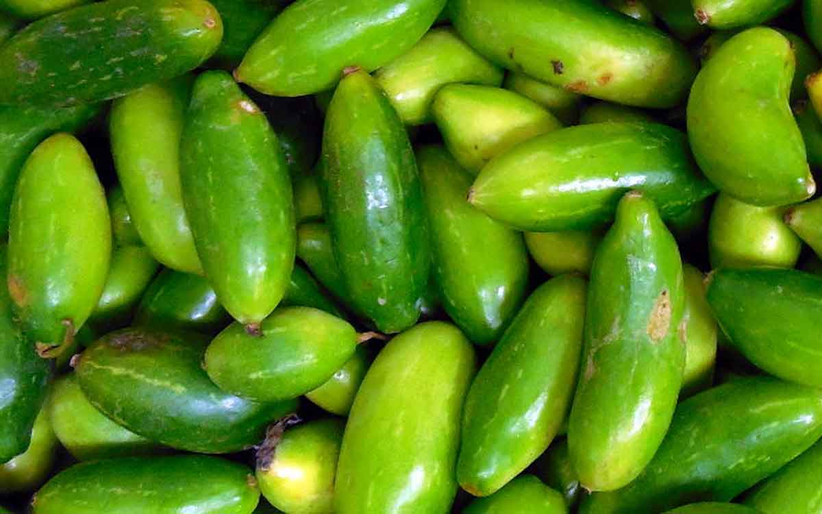 Ivy Gourd Benefits | రోజూ దొండ‌కాయ జ్యూస్ తాగితే ఇన్ని లాభాలా..?
