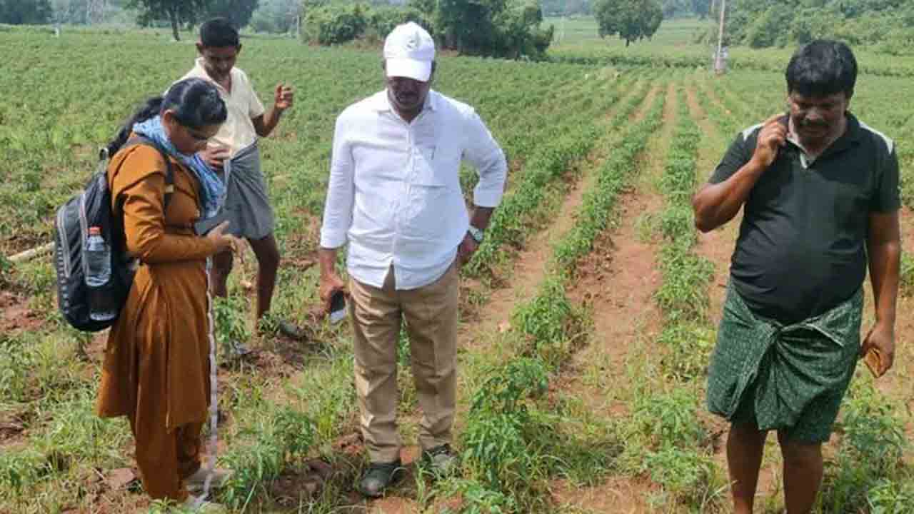 Leopard | కొత్త‌గూడెం జిల్లాలో చిరుత‌పులి క‌ల‌క‌లం.. ఆందోళ‌న‌లో అన్న‌దాత‌లు