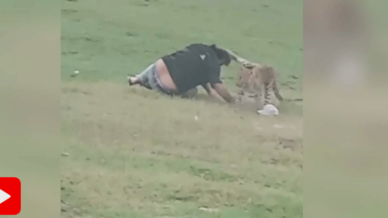 Leopard Attack: అడ‌విలో పిక్నిక్ వెళ్లారు.. చిరుత‌ను రెచ్చ‌గొట్టారు.. ఏం జ‌రిగిందో చూడండి.. వీడియో