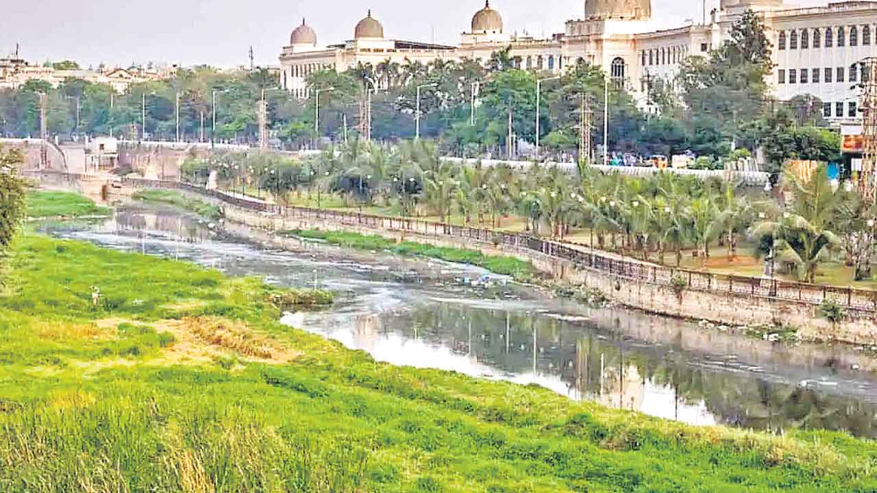 ప్రశ్నించే హక్కునూ కాలరాస్తరా?