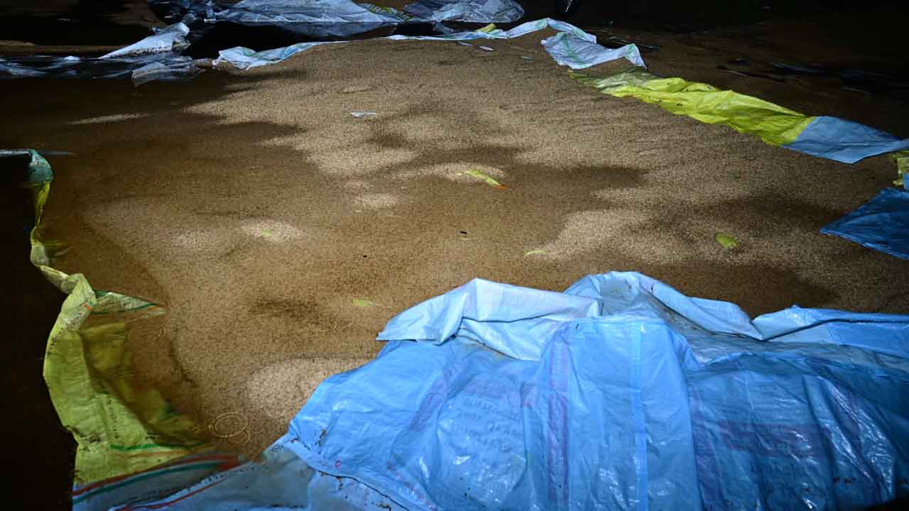 జోరు వాన