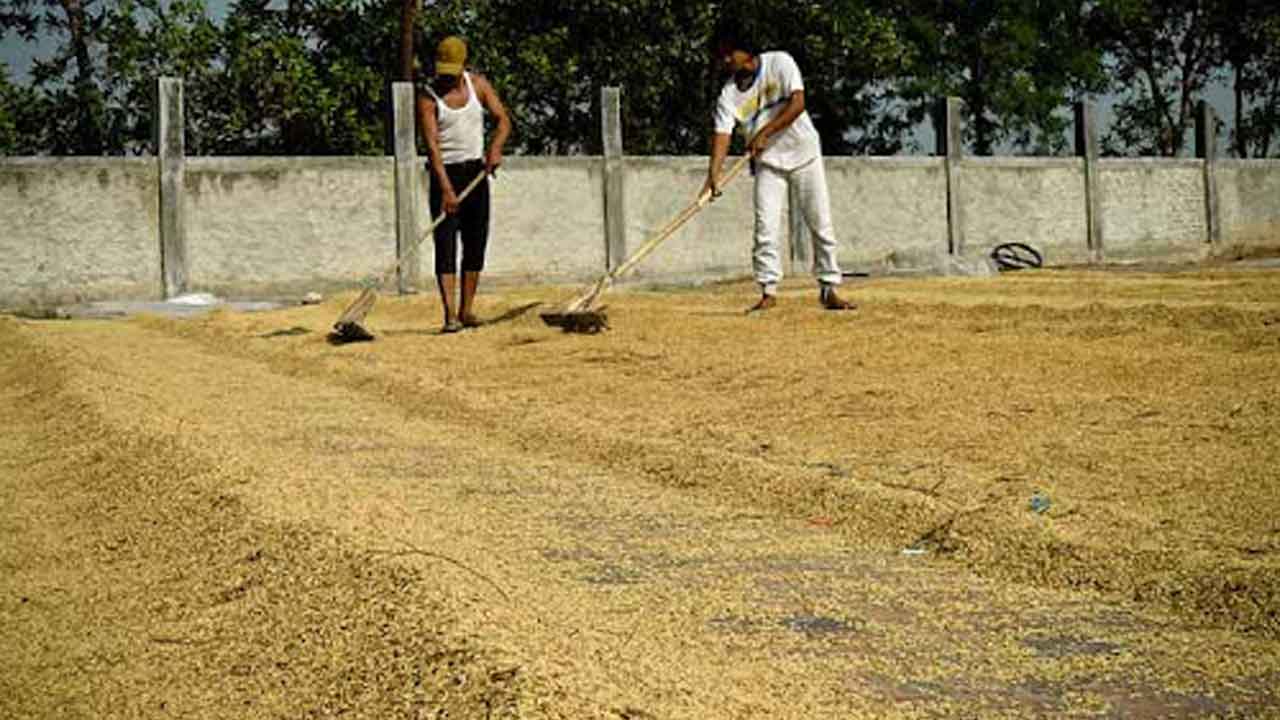 సన్నాలపై మరో దోఖా!