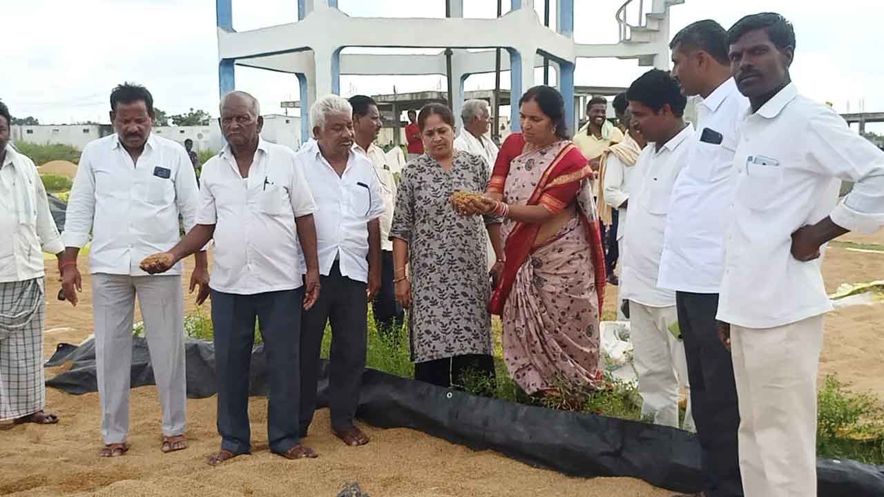 Padma Devender Reddy | మొలకెత్తిన చివరి గింజ వరకు ప్రభుత్వం కొనుగోలు చేయాలి : పద్మా దేవేందర్‌ రెడ్డి