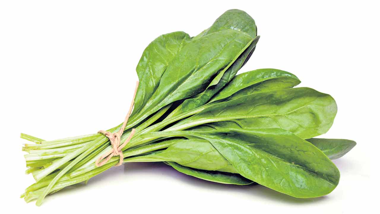 పాలకూరతో పదిలాభాలు