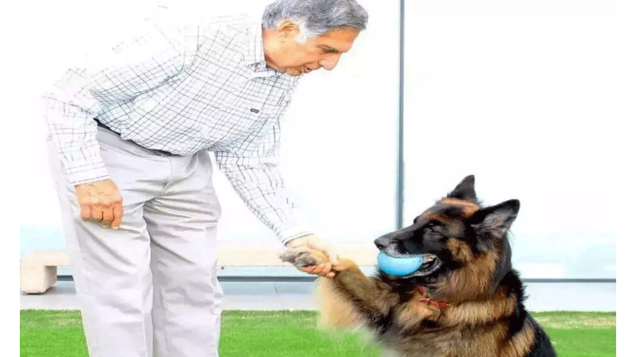 Ratan Tata: ర‌త‌న్ టాటా వీలునామాలో పెంపుడు శున‌కం టీటోకు వాటా
