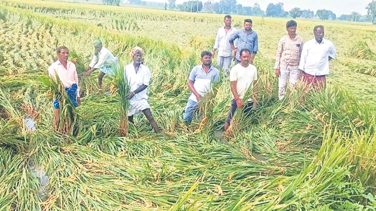 గాలివాన బీభత్సం