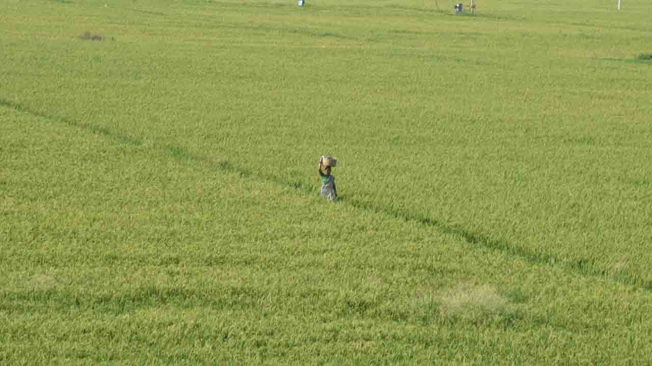 కోనుగోళ్లలో కొర్రీలు