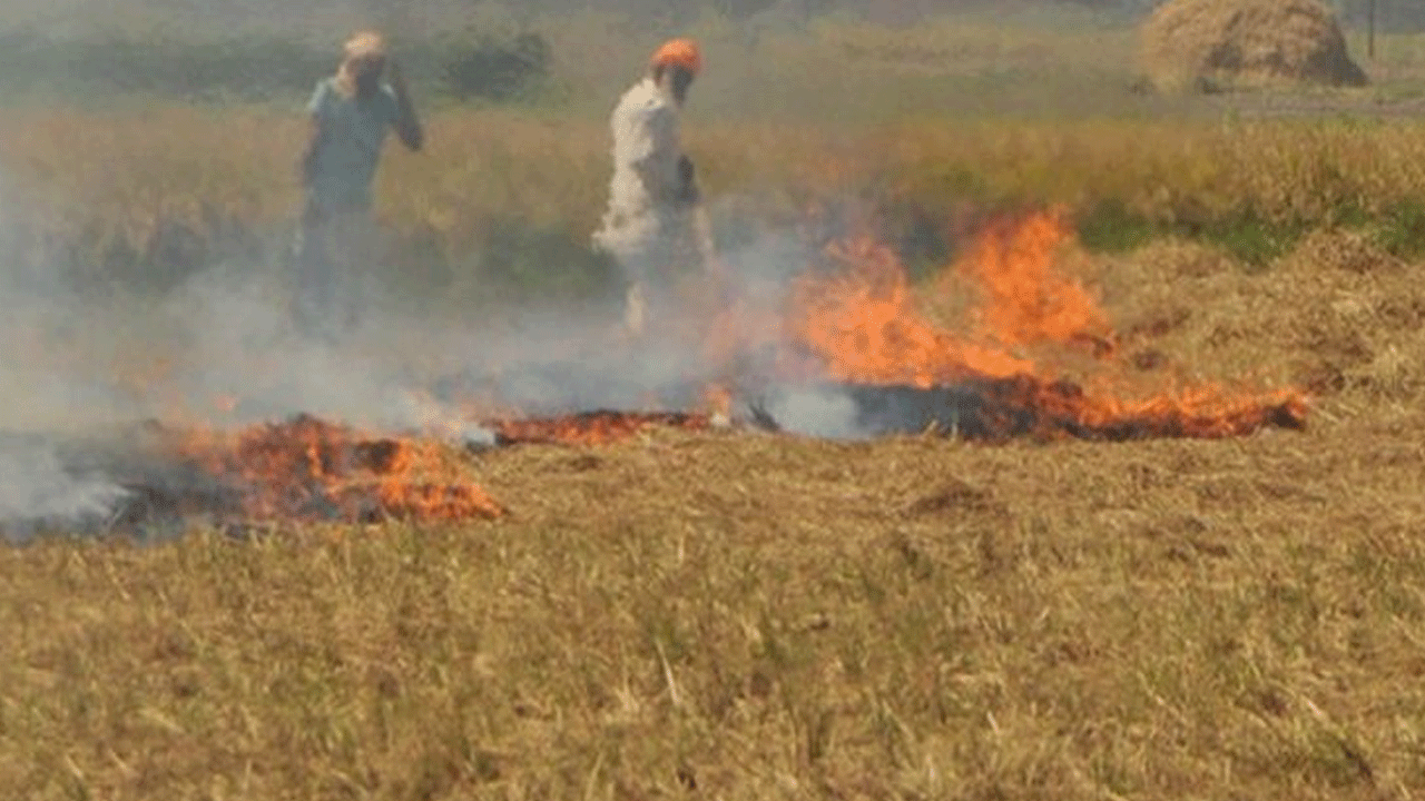 Supreme Court: పంట వ్య‌ర్ధాల ద‌హ‌నం.. హ‌ర్యానా, పంజాబ్‌పై సుప్రీంకోర్టు ఆగ్ర‌హం.. చీఫ్ సెక్ర‌ట‌రీల‌కు స‌మ‌న్లు