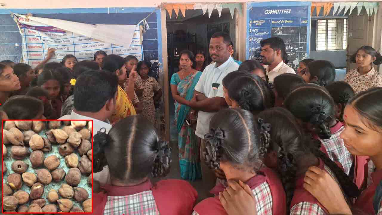 పురుగుల అన్నంతో పరేషాన్‌