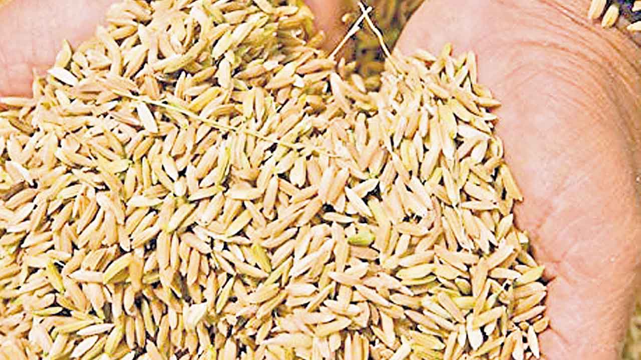 Congress Govt | సన్నాలకు బోనస్‌.. కొనుగోలు బోగస్‌!