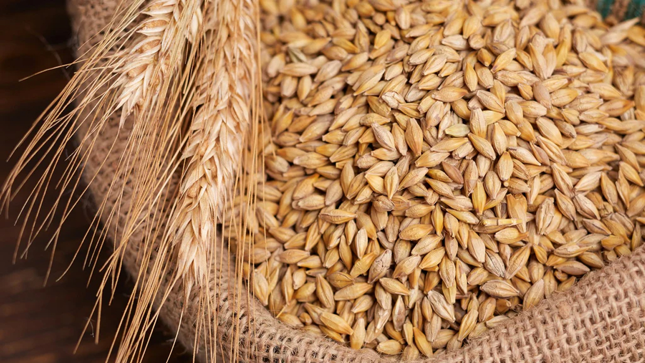 Wheat Price | పండుగలకు ముందు షాక్‌.. భారీ పెరగనున్న గోధుమల ధరలు..!