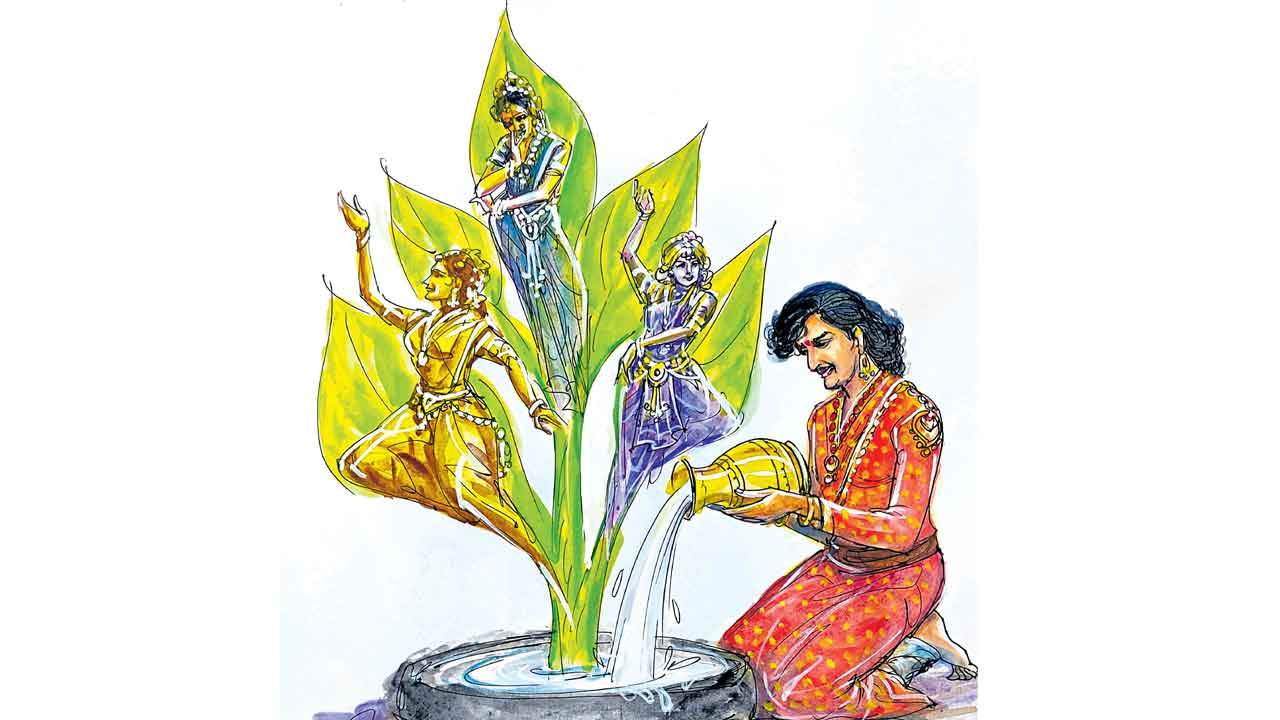 జాయ సేనాపతి