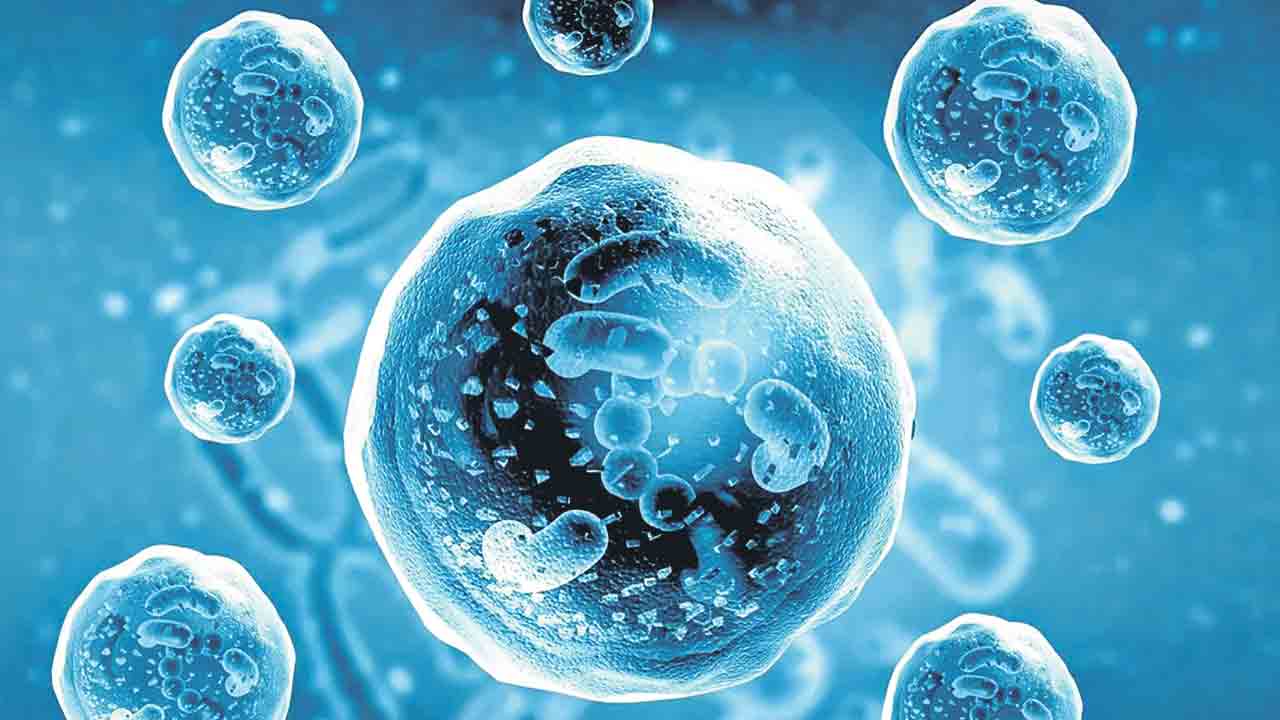 అణువణువునా జ్ఞాపకం!