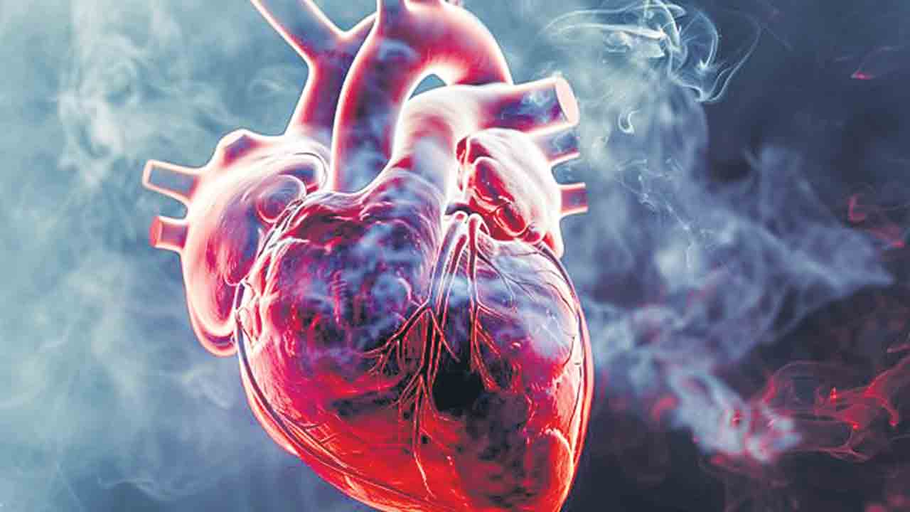 గుండెల్ని పిండే కాలుష్యం