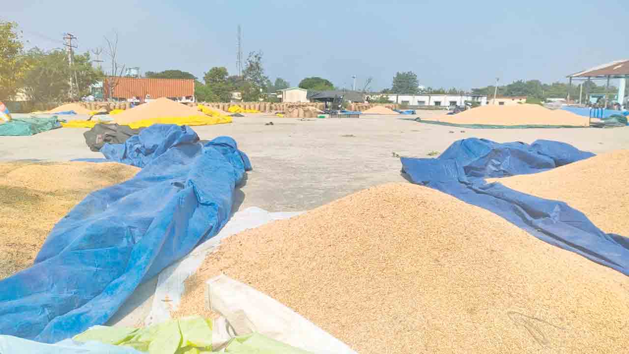 సోయా కొనుగోళ్లు బంద్‌