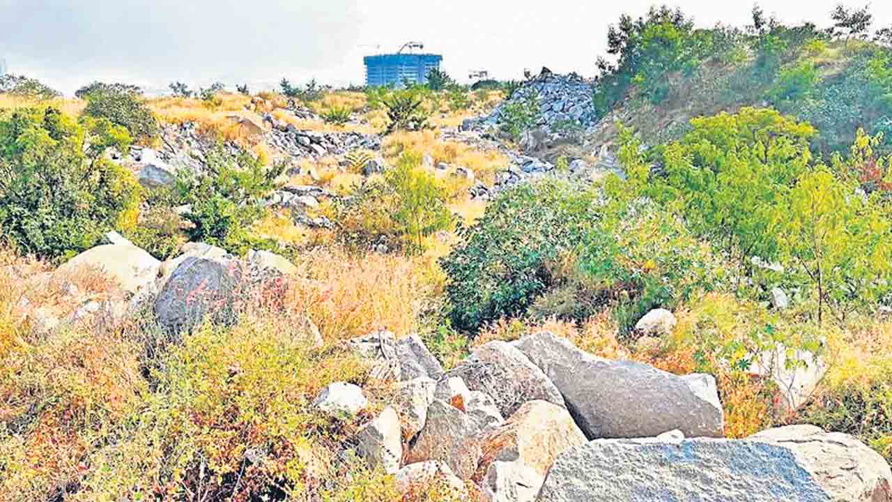 Rayadurgam Lands | తెలుగు రాష్ర్టాల్లో పేలిన భూ బాంబ్‌.. ఏపీ నేతలతో కలిసి రాయదుర్గం కొండకు తెలంగాణ మంత్రి కన్నం!