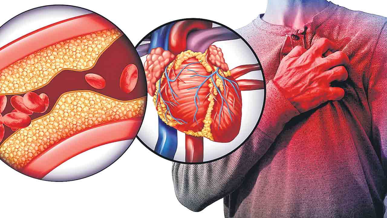 గుండె రోగాల గుట్టుమట్లు