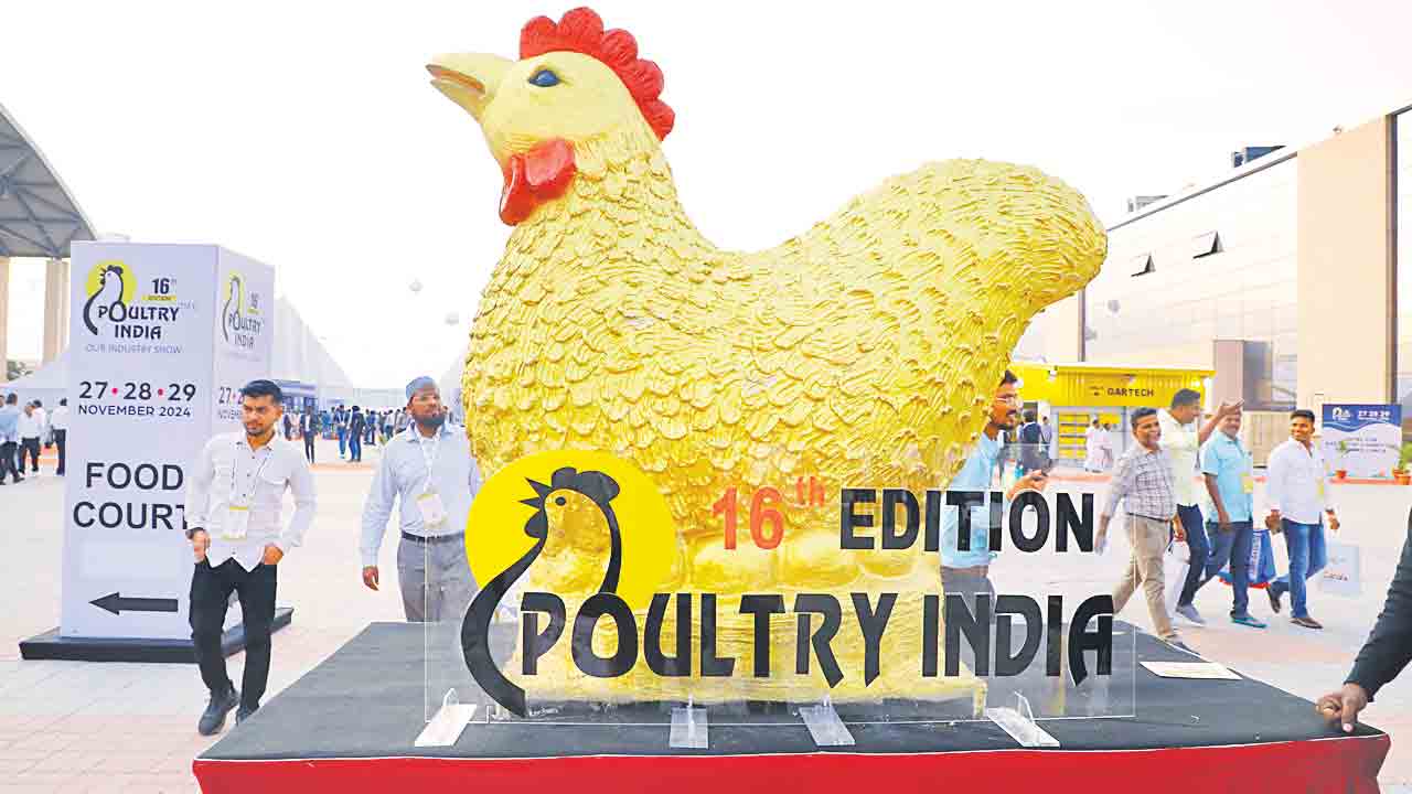 Poultry India | ఒత్తిడిలో పౌల్ట్రీ పరిశ్రమ.. కేంద్ర ప్రభుత్వం చేయూతనివ్వాలి: పౌల్ట్రీ ఇండియా అధ్యక్షుడు