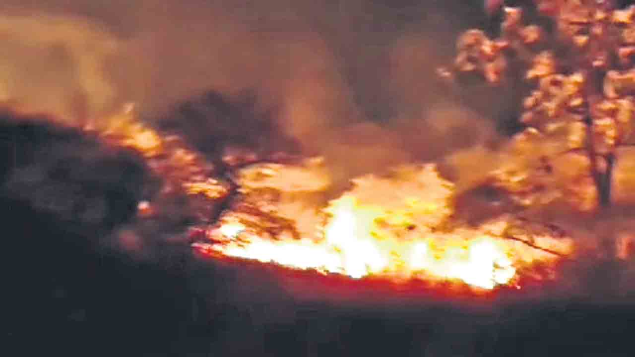 దామగుండం అడవిలో కార్చిచ్చు