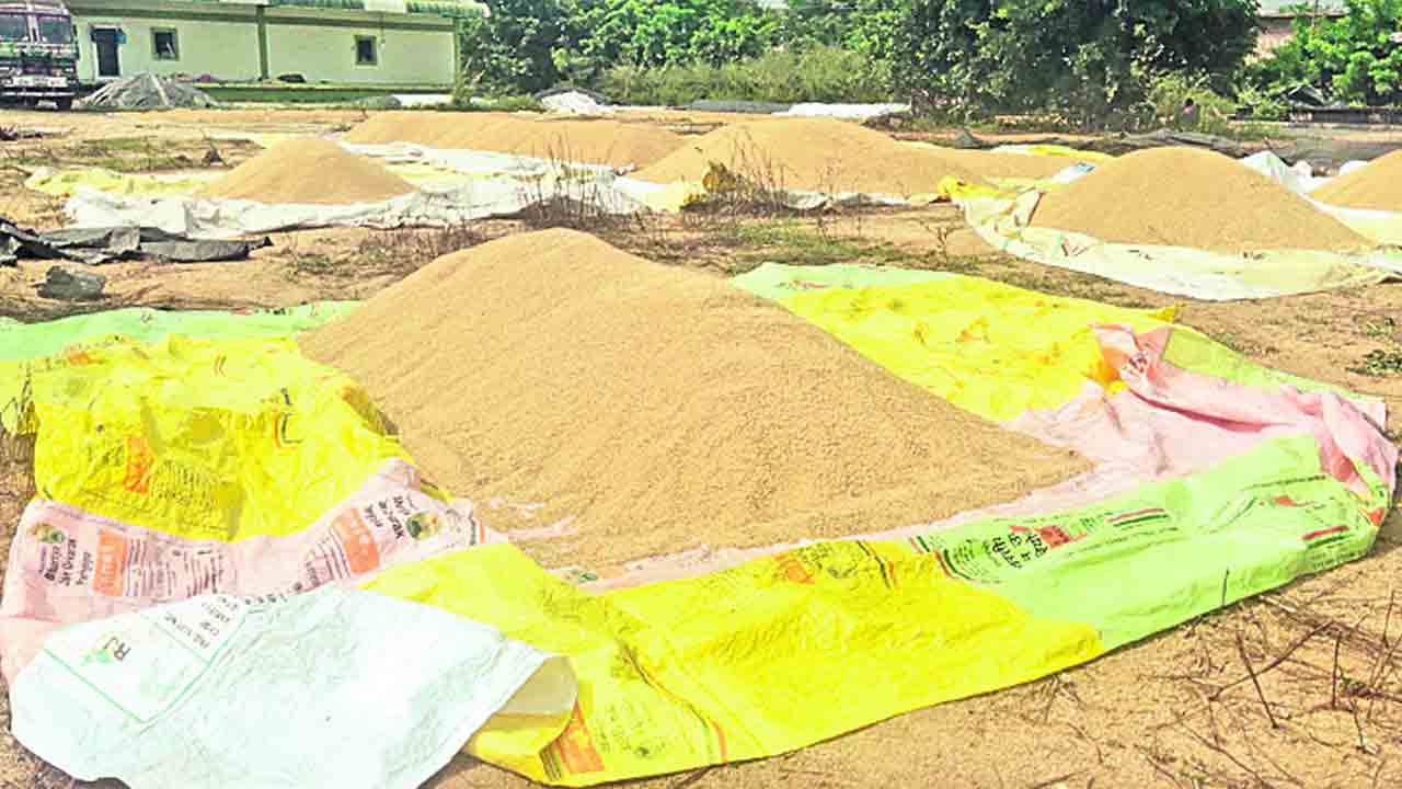 ఒక్క గింజా కొనలేదు..