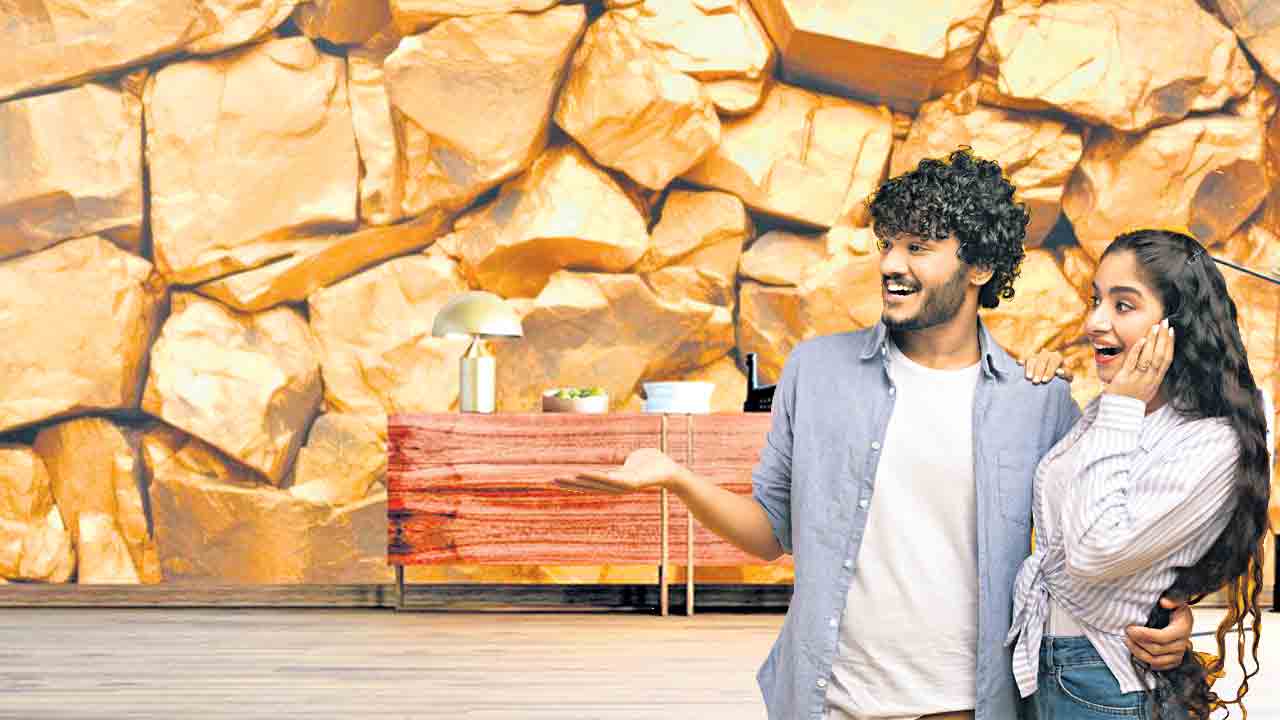 మీ గోడ బంగారం కానూ…