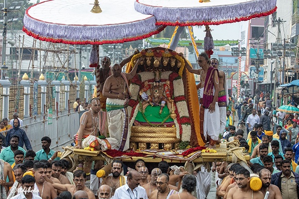 Brahmotsavam | పెద్దశేష వాహనంపై వైకుంఠనాథుని అవతారంలో పద్మావతి అమ్మవారు దర్శనం