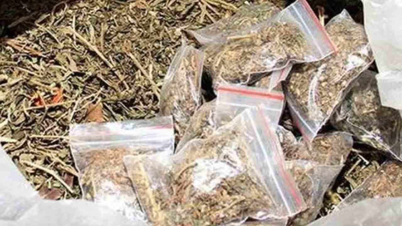 జోరుగా గంజాయి దందా!