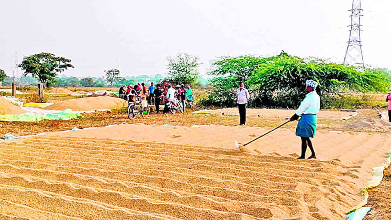 మిల్లర్ల ఇష్టారాజ్యం