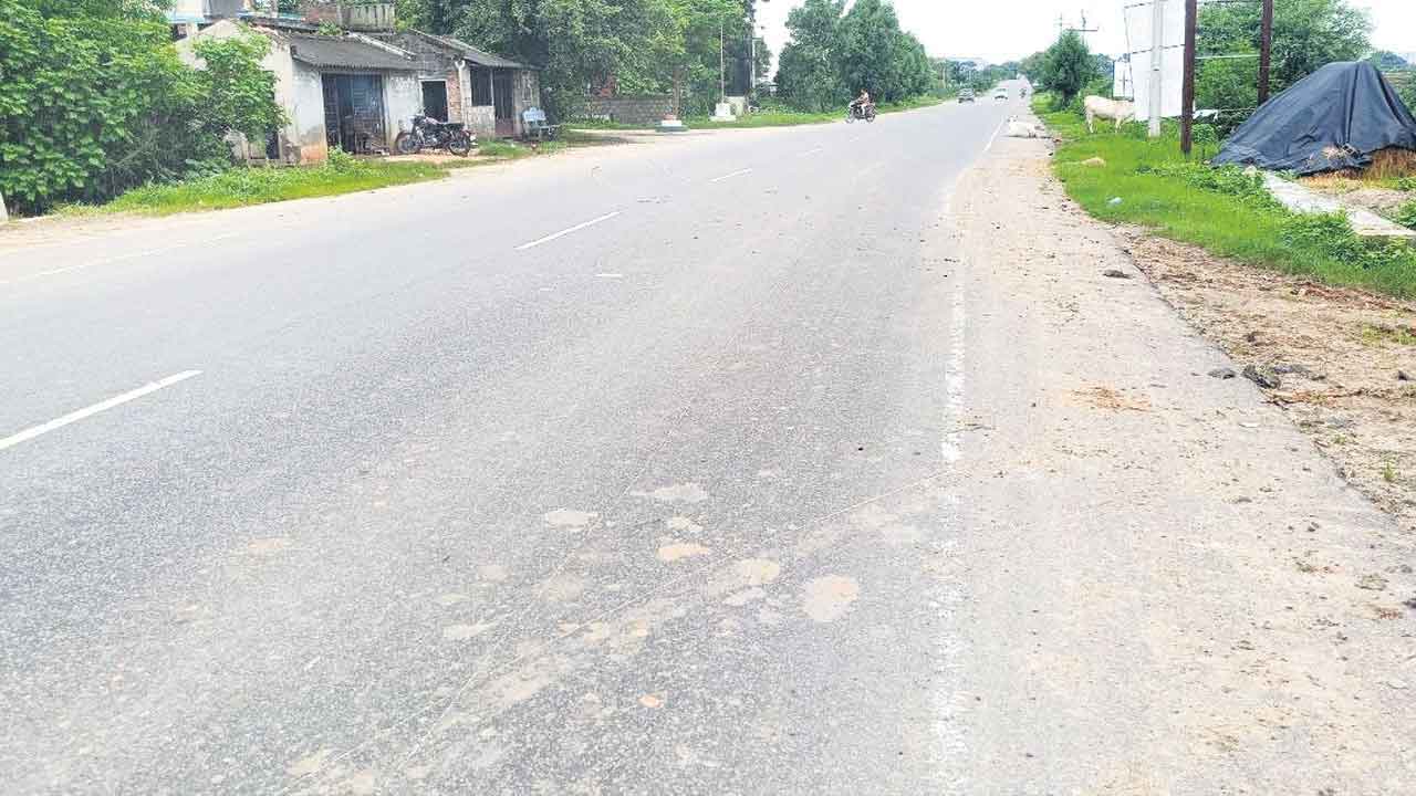 మేఘా సంస్థకు ఎన్‌హెచ్‌-163 పనులు