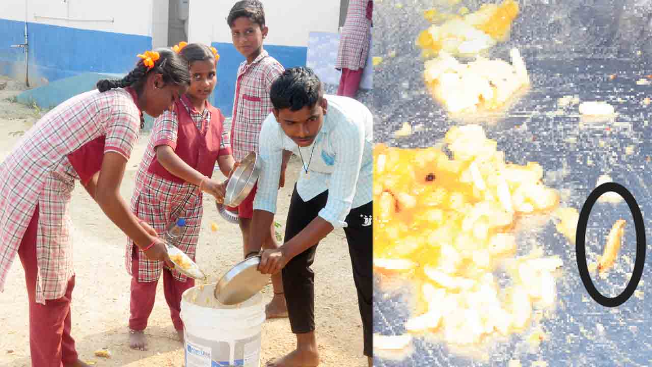 పురుగులే పరమాన్నం